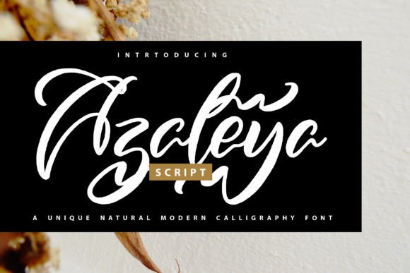 Azaleya: A Designer’s Take on This Script Amp Font for Real Projects