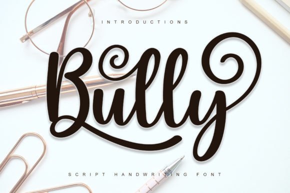 Bully: A Designer’s Honest Review for Real-World Projects