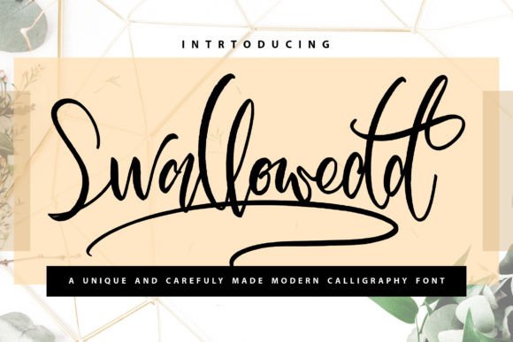Swallowedd: A Designer’s Take on Its Personality and Practical Use